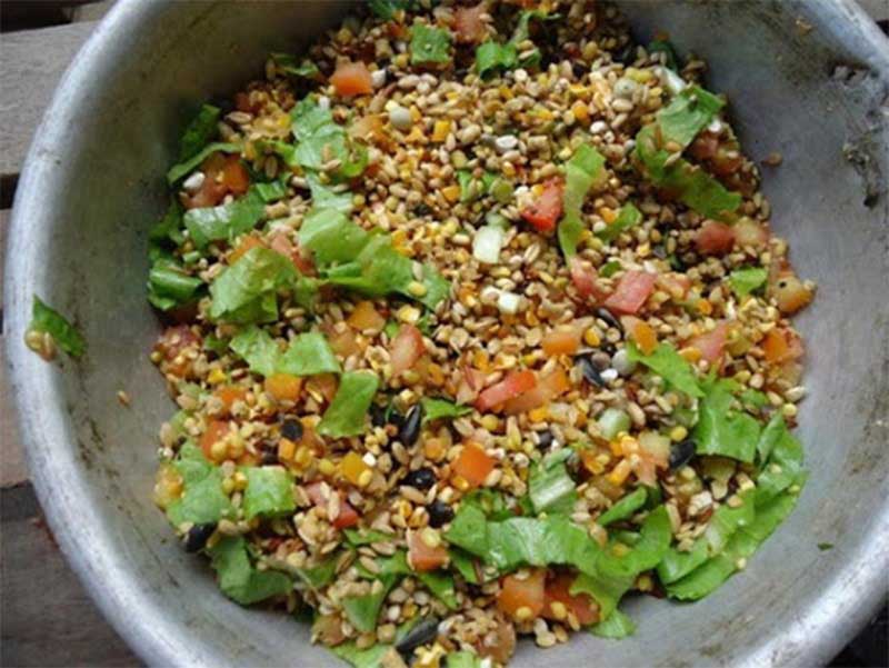 Vỗ béo để gà lớn nhanh hơn và tăng trọng