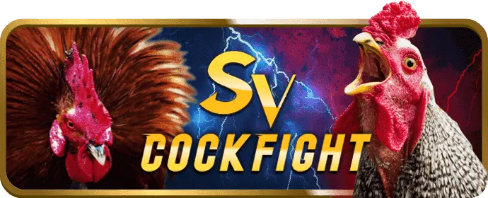 Cockfight
