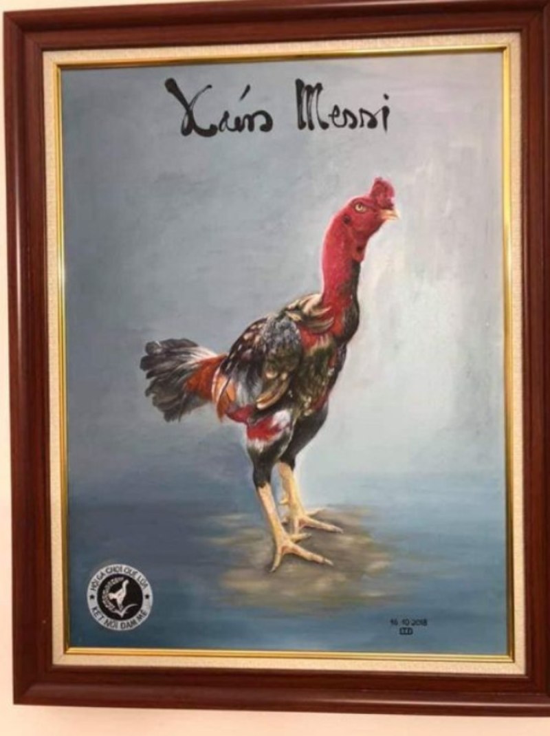 Tìm hiểu hành trình đúc mái của Xám Messi